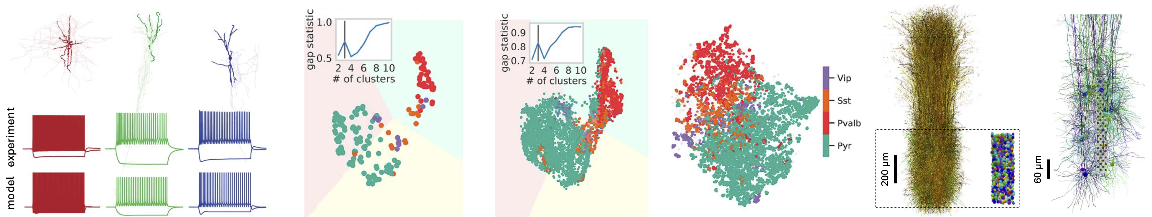 Research Highlights from Anastassiou Lab Publications